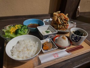 甘エビと季節野菜のかき揚げ (2)